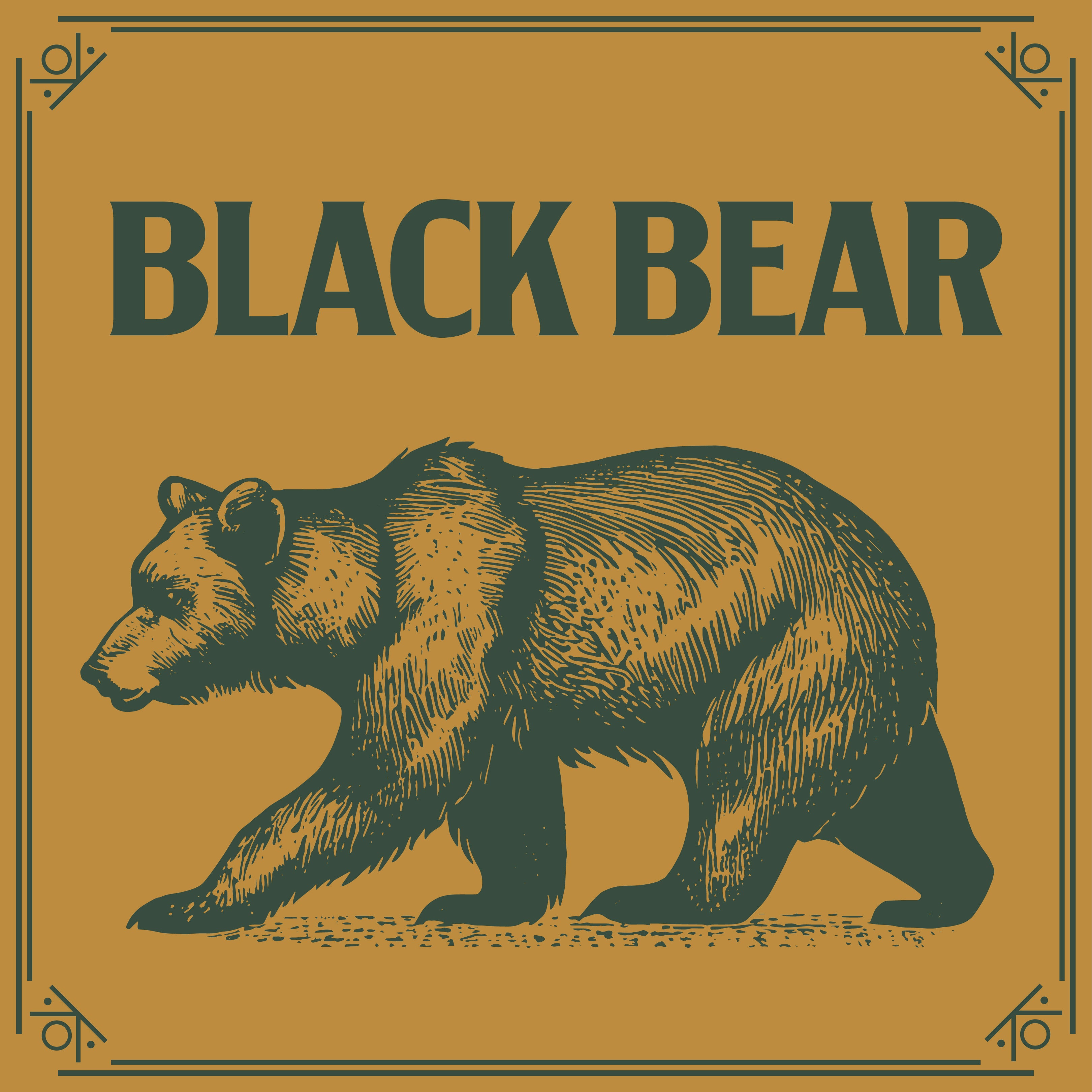 BLACK BEAR