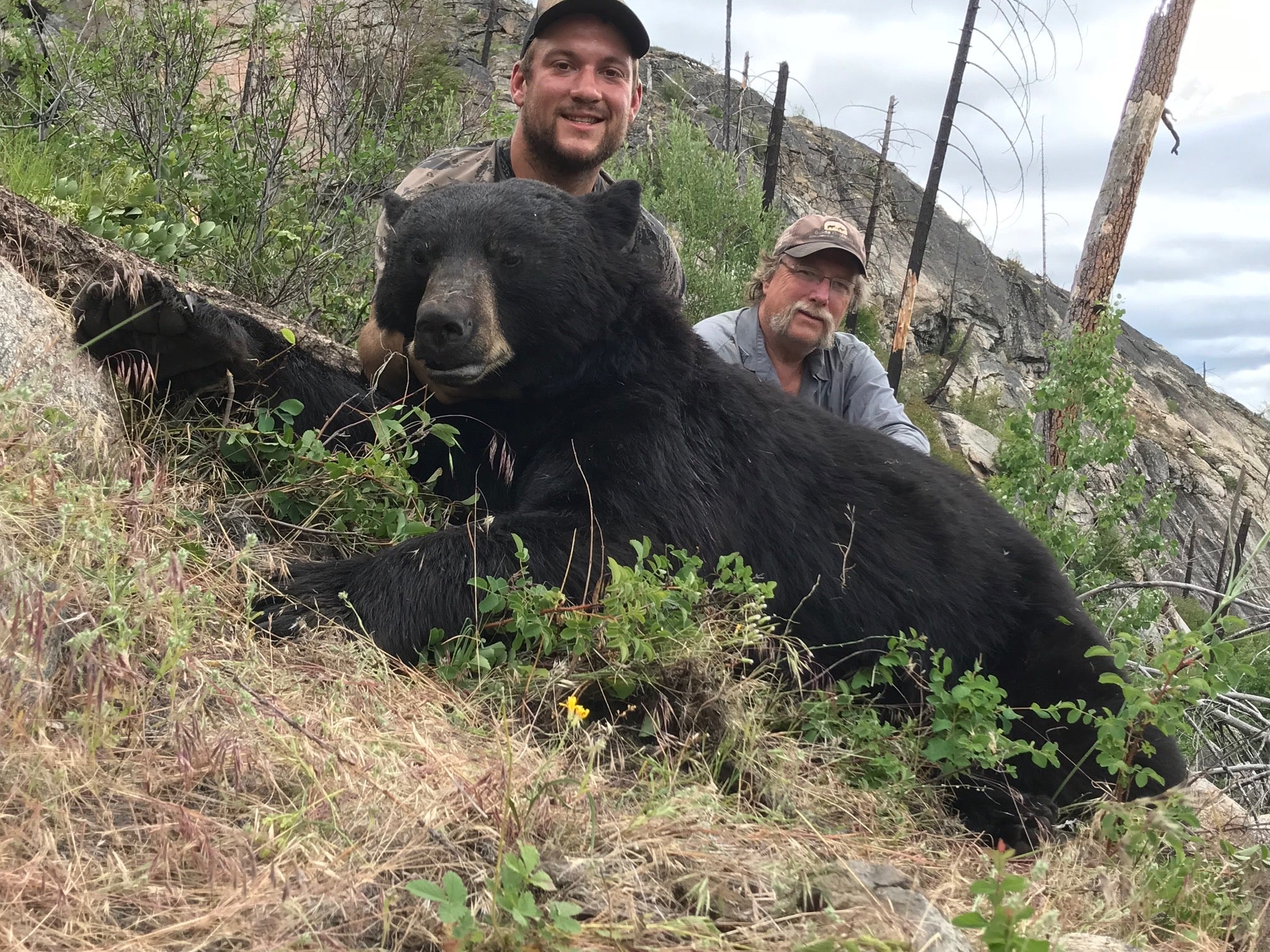 BLACK BEAR