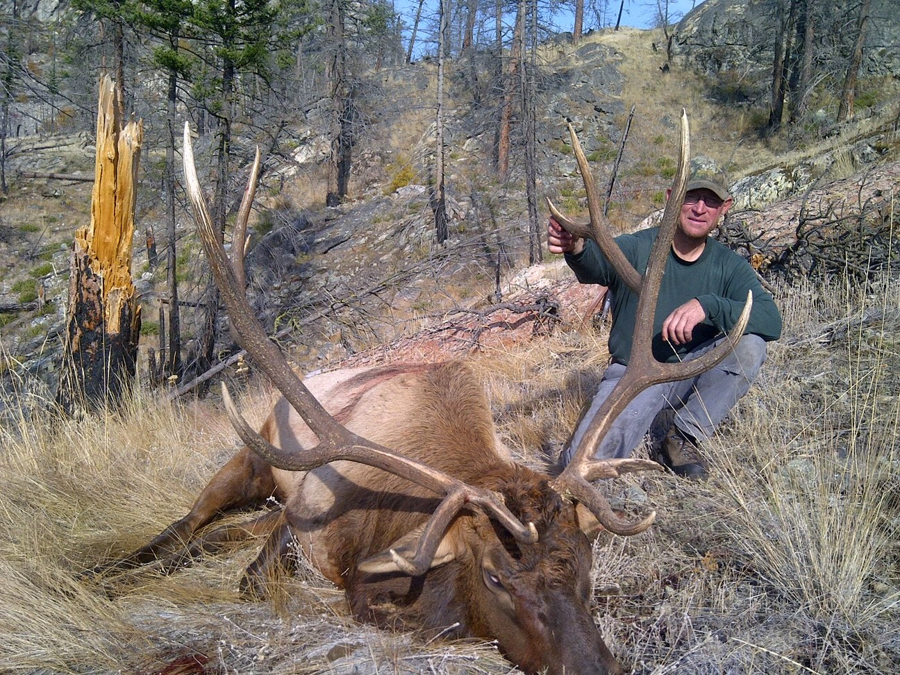 ELK