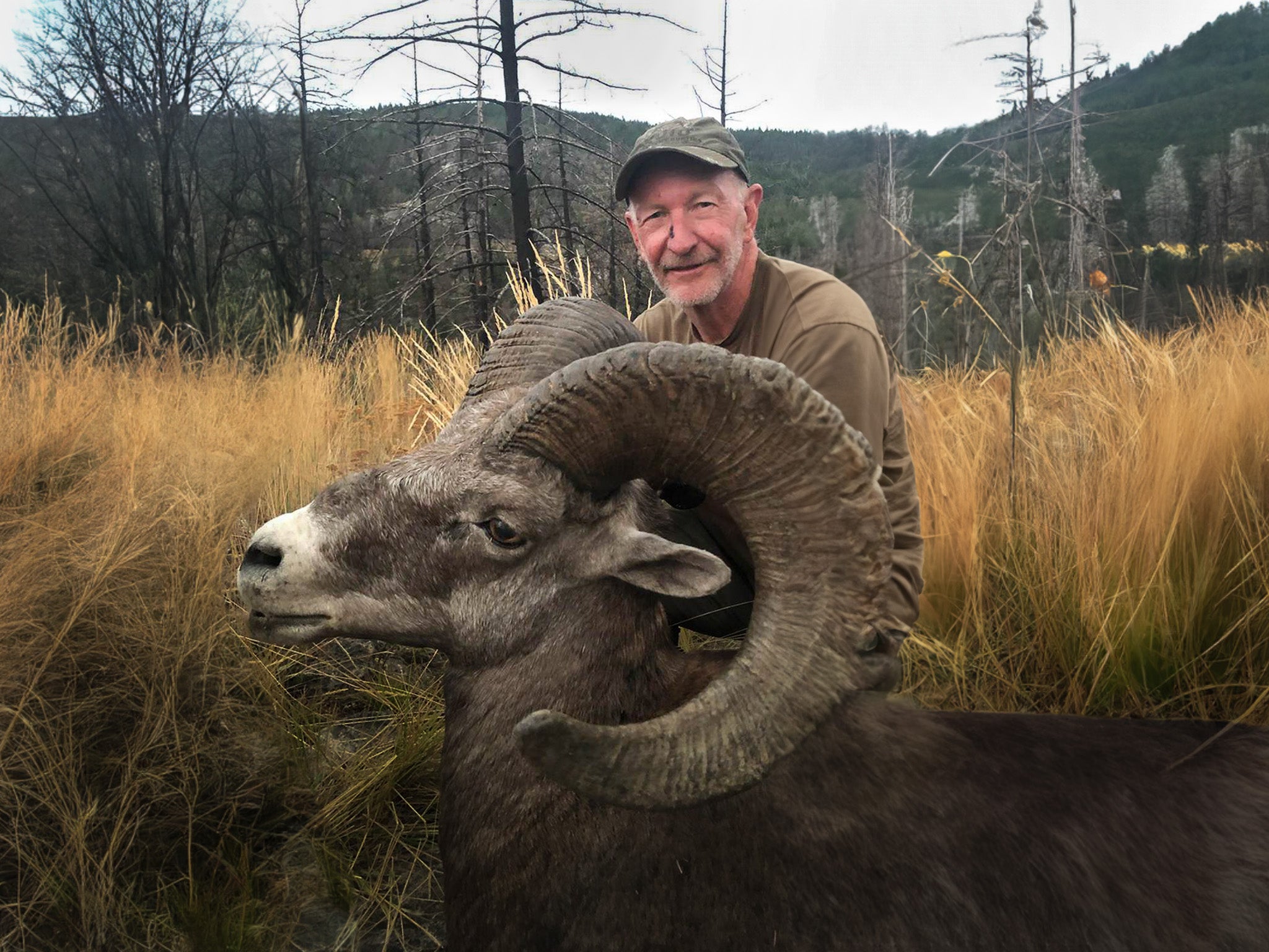 Kifaru Outfitters Premier BC and Alberta guided hunts